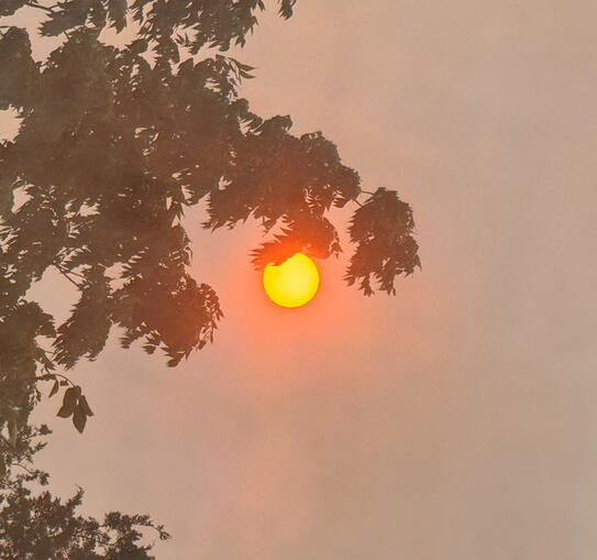 Sun